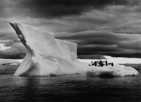 Icebergs near Paulet Island, Situated East of the Antarctica Peninsula, from Genesis-2005 Icebergs near Paulet Island, Situated East of the Antarctica Peninsula, from Genesis-2005