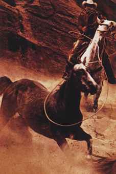 Cowboy-1986 Cowboy-1986
