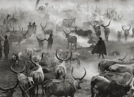 Dinka Cattle Camp of Amak, Southern Sudan (Sud Sudan)-2006 Dinka Cattle Camp of Amak, Southern Sudan (Sud Sudan)-2006