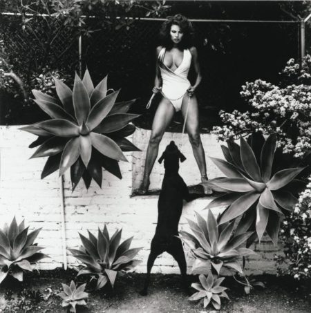 Raquel Welch in Her Backyard, Beverly Hills-1980 Raquel Welch in Her Backyard, Beverly Hills-1980