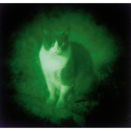 Felix-1993 Felix-1993