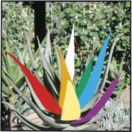 Agave Plant: R, O,Y, W, G, B, V (with Black Post)-2008 Agave Plant: R, O,Y, W, G, B, V (with Black Post)-2008