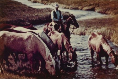 Cowboy Watering Horses # 14-1983 Cowboy Watering Horses # 14-1983