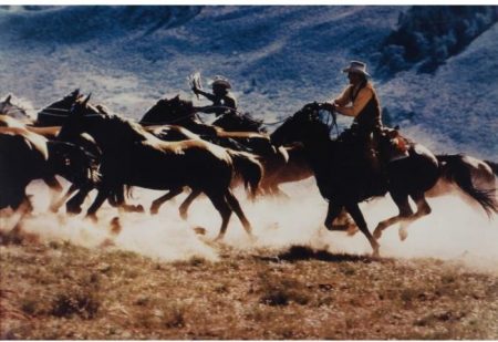 Cowboys-1993 Cowboys-1993