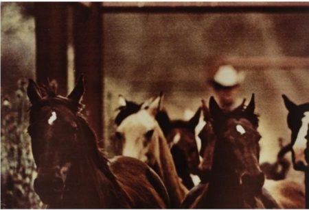 Cowboys # 9-1982 Cowboys # 9-1982