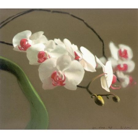 Orchidee I (Orchid I)-1998 Orchidee I (Orchid I)-1998