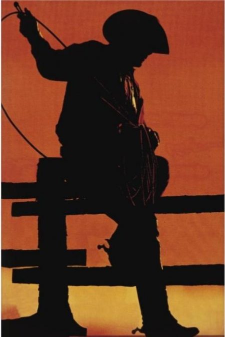 Cowboy-2002 Cowboy-2002