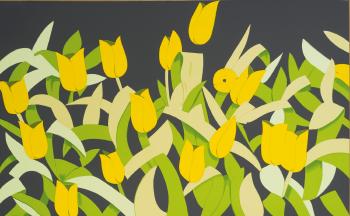 Tulips / Yellow Tulips-2014 Tulips / Yellow Tulips-2014