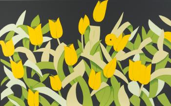 Tulips / Yellow Tulips-2014 Tulips / Yellow Tulips-2014