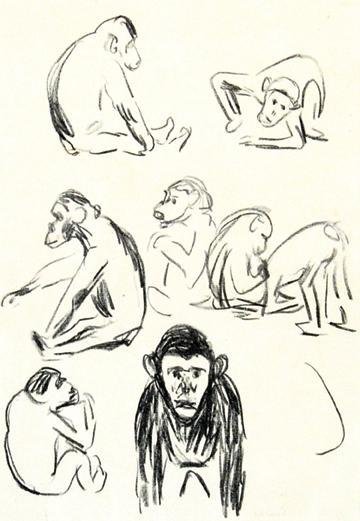 Apes (W. 332) / Affen I-1908 Apes (W. 332) / Affen I-1908