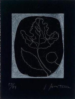 Ohne Titel- Ohne Titel-