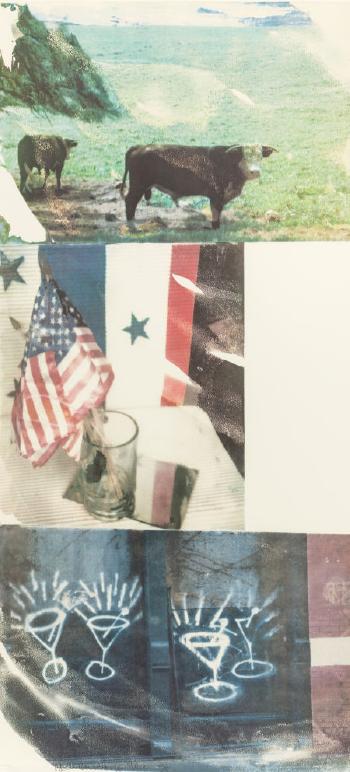 Robert Rauschenberg - Witness (From The Speculations Series)-1996 Robert Rauschenberg - Witness (From The Speculations Series)-1996