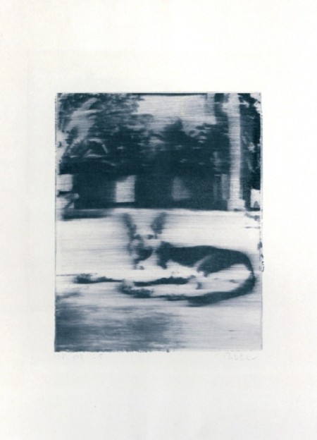 Hund (Dog)-1965 Hund (Dog)-1965