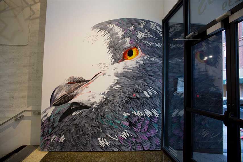 Adele Renault - Henkie the King Pigeon, Nashville, 2016 - Photo credits Colin M Day