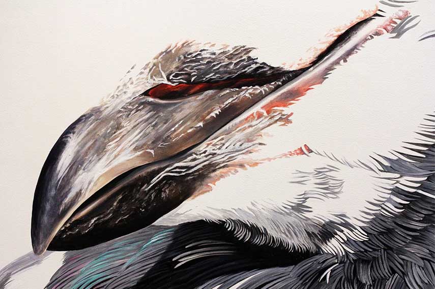 Adele Renault - Henkie the King Pigeon, Nashville, 2016