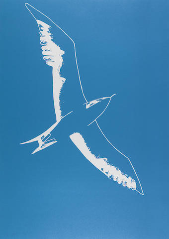 Seagull-2012 Seagull-2012
