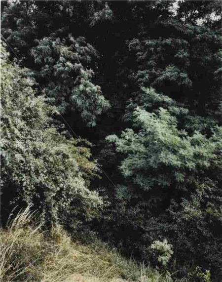 Krefeld-1989 Krefeld-1989