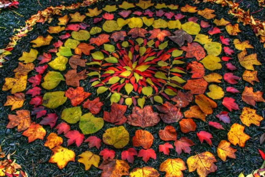 Andy Goldsworthy Artist And Environmentalist Widewalls