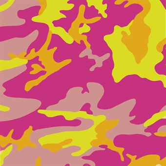 Camouflage: one plate-1987 Camouflage: one plate-1987