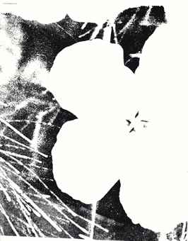 Flowers-1978 Flowers-1978