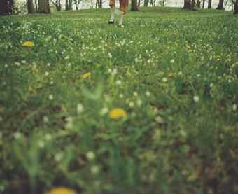 Untitled #19 (Wonder Series)-1997 Untitled #19 (Wonder Series)-1997