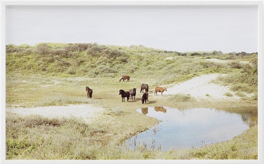 new untitled print installation in the field of zeitgeschichte