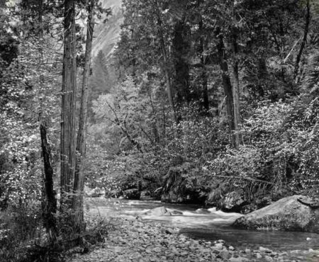 Tenaya Creek, Dogwood, Rain, Yosemite National Park-1948 Tenaya Creek, Dogwood, Rain, Yosemite National Park-1948