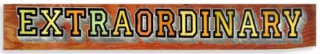 Extraordinary- Extraordinary-