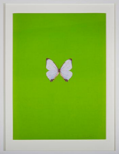 Green Butterfly (It's a Beautiful Day)- Green Butterfly (It's a Beautiful Day)-