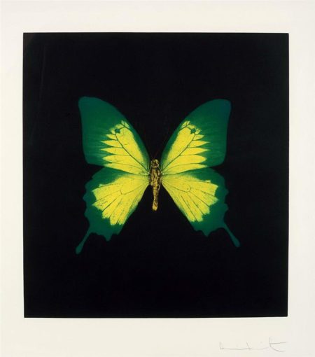 Green Yellow Butterfly from Memento- Green Yellow Butterfly from Memento-