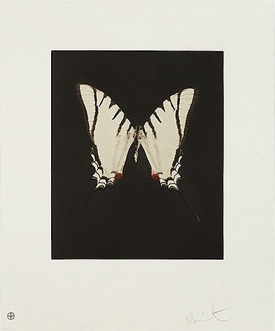Spirit from Butterfly Etchings-2009 Spirit from Butterfly Etchings-2009