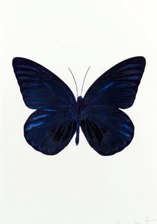 The Souls I: Westminster Blue, Raven Black,Imperial Purple-2010 The Souls I: Westminster Blue, Raven Black,Imperial Purple-2010
