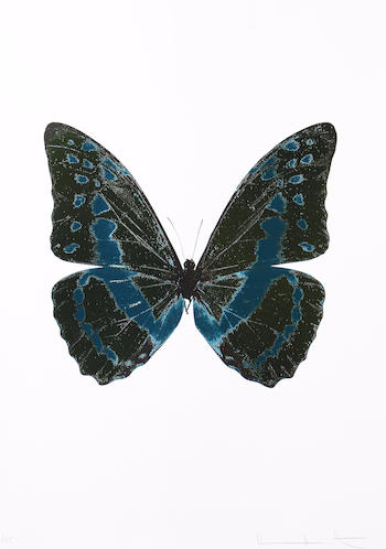 The Souls III Butterfly-2010 The Souls III Butterfly-2010