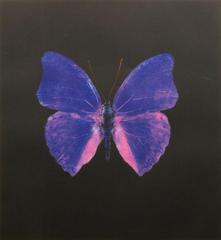 The Souls on Jacob's Ladder Take Their Flight (Blue and Pink Butterfly)-2007 The Souls on Jacob's Ladder Take Their Flight (Blue and Pink Butterfly)-2007
