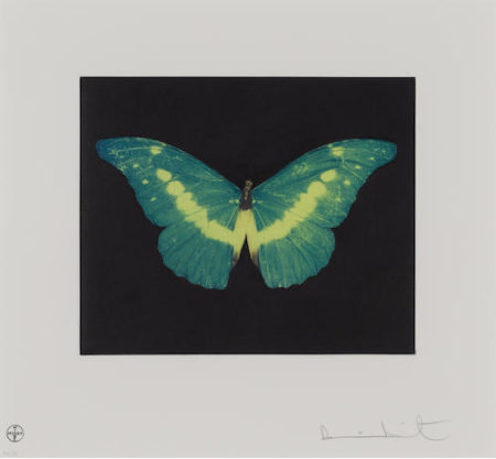 To Belie (Green Butterfly)-2008 To Belie (Green Butterfly)-2008