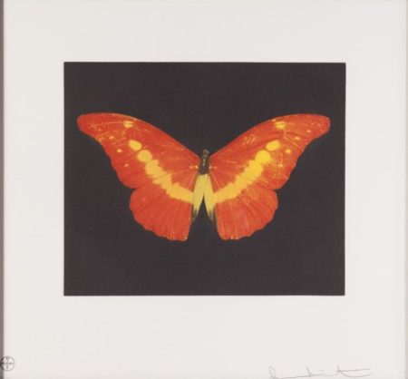 To Love (Rusty Butterfly)-2008 To Love (Rusty Butterfly)-2008