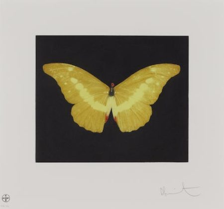 To Lure (Yellow Butterfly)-2008 To Lure (Yellow Butterfly)-2008