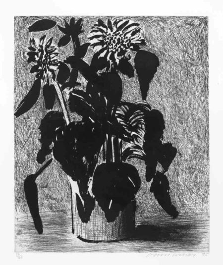 Sunflower I-1995 Sunflower I-1995