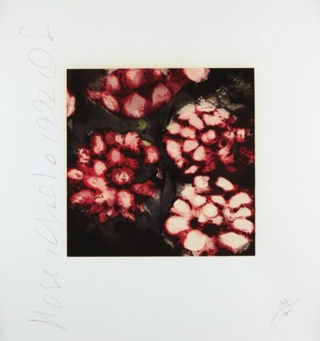 Roses-1992 Roses-1992