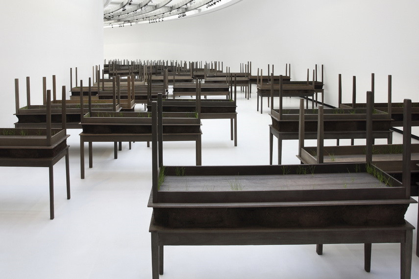 Doris Salcedo - Plegaria Muda, 2011, Installation view, CAM-Fundação Calouste Gulbenkian, Lisbon - image via nashersculpturecenter.org