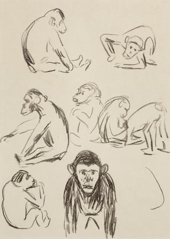 Apes I-1908 Apes I-1908