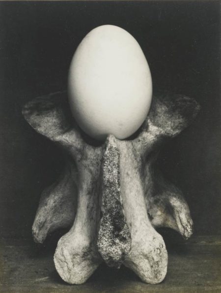 Egg And Bone-1930 Egg And Bone-1930