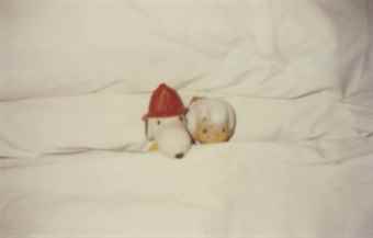 'Untitled'-1994 'Untitled'-1994