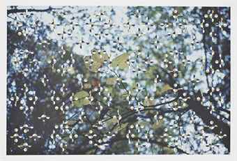 Light through Leaves-1996 Light through Leaves-1996