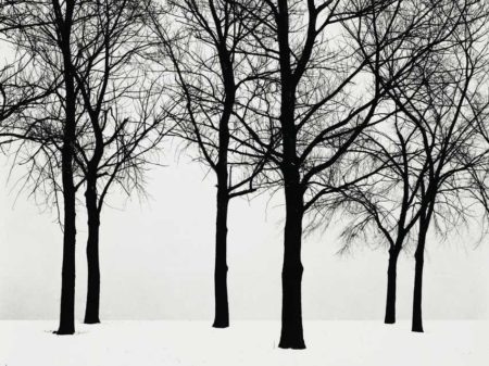 Chicago (Trees In Snow)-1950 Chicago (Trees In Snow)-1950