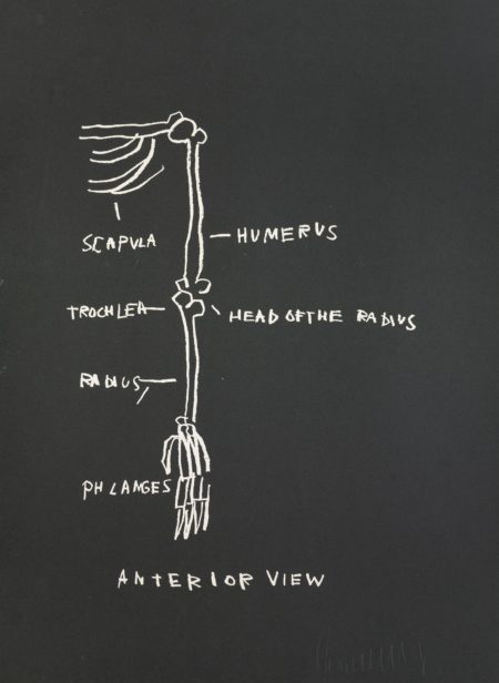 Anatomy (Anterior View)-1982 Anatomy (Anterior View)-1982