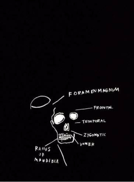 Anatomy (Foramenmagnum)-1982 Anatomy (Foramenmagnum)-1982