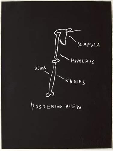 Posterior View, Serie Anatomy-1982 Posterior View, Serie Anatomy-1982
