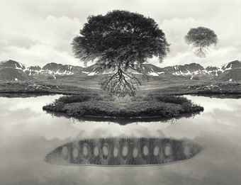 Untitled, (Floating Trees)-1969 Untitled, (Floating Trees)-1969