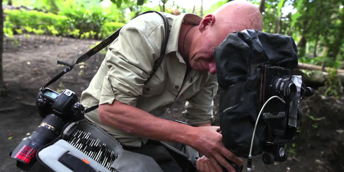 Jimmy Nelson WideWalls